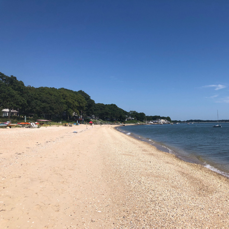 The Beach